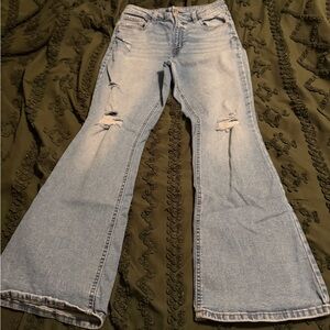 Maurices Light Blue Flare Jeans